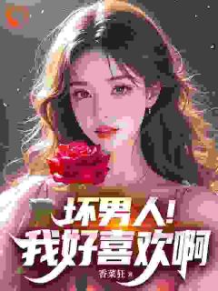 爆款小说坏男人！我好喜欢啊在线阅读-林飞林婉免费阅读