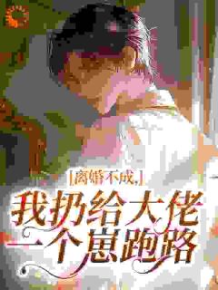 全网首发完整小说离婚不成，我扔给大佬一个崽跑路主角叶星移姜执在线阅读