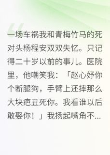 我和竹马死对头杨程安双双失忆在线全文阅读-主人公杨程安赵心妤小说-二筒文学网