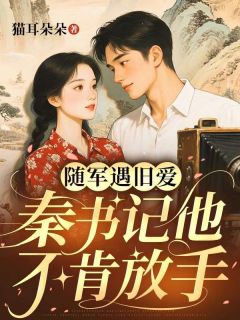 无广告小说随军遇旧爱，秦书记他不肯放手-安宁秦沉舟在线阅读