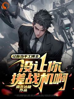 让你当手工博主，没让你搓战机啊(谢林李延)最新章节