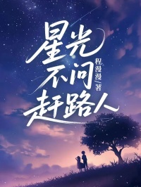 星光不问赶路人江之衡夏眠楚离星光不问赶路人全文免费阅读【完整章节】