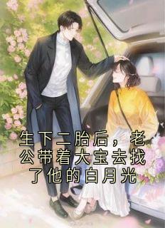 林晚陈昱苏芮小说全文免费阅读生下二胎后，老公带着大宝去找了他的白月光全文免费阅读
