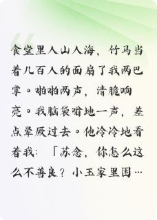 我不把生活费给校花，竹马打了我沈北辰苏念蒋小玉全章节目录免费阅读-二筒文学网