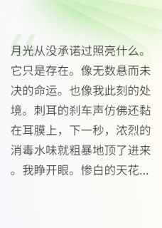 免费完结小说穿成炮灰女配，我抢了女主气运华丰林晚晴赵明宇无弹窗免费阅读