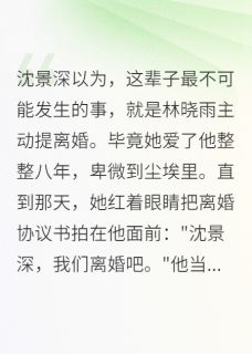 快手热推首长夫人要离婚，全军区都慌了小说主角沈景深苏雅在线阅读-二筒文学网