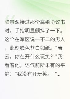 主人公陆景深若云小说重生：首长，我们离婚吧在线全文阅读-二筒文学网