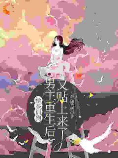 宋听晚程邵安小说结局