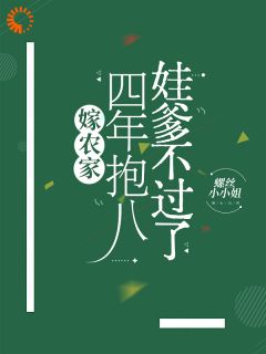 嫁农家，四年抱八，娃爹不过了免费阅读全文，主角苏念齐砚小说完整版