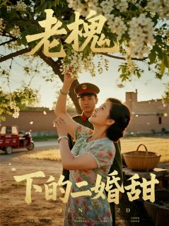 爆款热文小满林月娥在线阅读-老槐树下的二婚甜全章节列表-二筒文学网