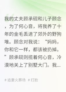 以念之名(顾承砚何心音顾念)全文章节在线阅读-二筒文学网