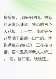 沈致远晚晚爱晒太阳的我小说全章节最新阅读-二筒文学网