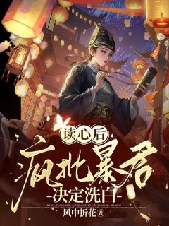读心后，疯批暴君决定洗白宋云初江如敏-风中折花小说
