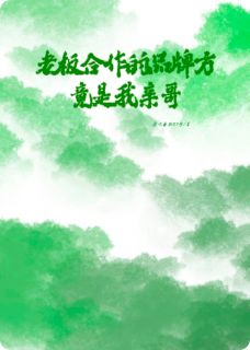 老板合作的品牌方竟是我亲哥在哪免费看，宁小雨宁远张莉小说章节目录阅读-二筒文学网