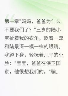 （好书推荐）军嫂苦等三年，带娃寻夫惊天秘密小说最新章节小说全文阅读