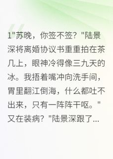 良心推荐我怀孕了前夫却要娶别人小说试读
