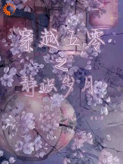 小说穿越五零之静识岁月主角为叶静识李承宗免费阅读