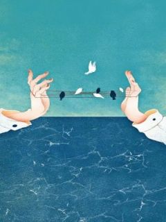 好文热推小说霜尽春生映长河主角时砚舟沈疏桐全文在线阅读