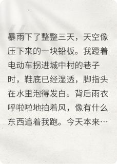 抖音小说余水之夜老付赵连胜全文txt-二筒文学网