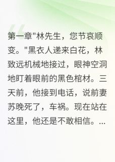 前妻葬礼上的陌生女尸林致远苏晚免费全章节目录阅读-二筒文学网