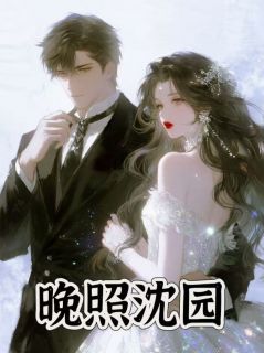 沈砚沈知微晚照沈园完结版小说全文免费阅读