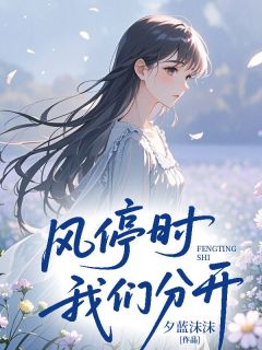 席今安江诗语陈言希小说风停时我们分开全文阅读-二筒文学网