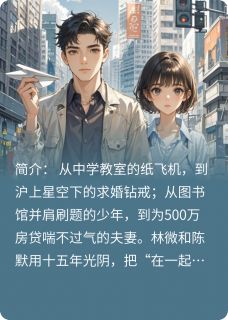 纸飞机掠过的城小说(完结)-林微陈默无删减阅读