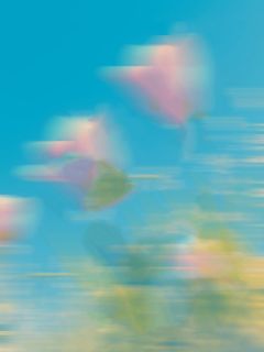 全村被灭后，我成了那个凶手全文目录-方志进快递员方伟小说无弹窗阅读-二筒文学网