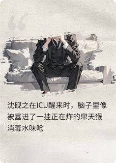 失忆后我把死对头当老公小说(完整版)-沈砚之陆时衍章节阅读