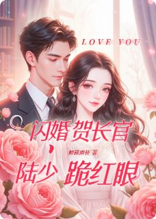 最新小说闪婚贺长官，陆少跪红眼主角慕倾瓷贺铮全文在线阅读