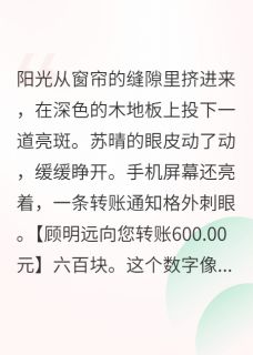 重生后，不再做冤种好婶婶苏晴林晚晴顾明远免费全章节目录阅读