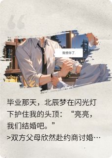 北辰梦苏晴全文阅读最新 北辰梦苏晴小说目录-二筒文学网