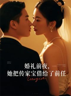 新书推荐婚礼前夜，她把传家宝借给了前任完整版小说-苏晴顾帆陈默最新章节阅读-二筒文学网