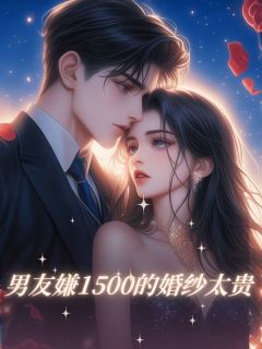 男友嫌1500的婚纱太贵文豪小洁苏雅无广告在线阅读