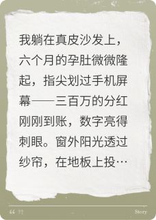 新上分红三百万假装失业，婆婆想杀我哥只是传说中的传说小说免费阅读-二筒文学网