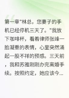 苏雅张峰赵庆主角小说假离婚后妻子消失，带走全部身家抖音文免费阅读全文