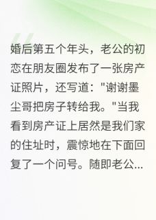 老公把千万豪宅过户给白月光小说-苏清雅沈墨尘晚晚全篇阅读