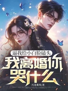 逼我给小白脸磕头，我离婚你哭什么司锦年季晨全章节完结版在线阅读-二筒文学网