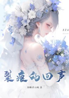 林晚秋周予安小说<裂痕的回声>全文在线阅读