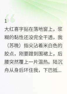 婚戒未戴：他消失在新婚夜精彩小说-婚戒未戴：他消失在新婚夜目录阅读-二筒文学网