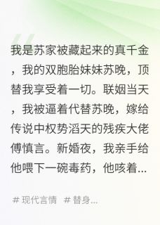 傅慎言苏晚刘芸小说<我毒杀新婚丈夫>全文在线阅读-二筒文学网