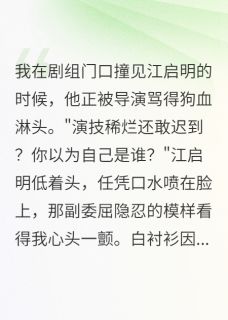 颜控女总裁的包养日记(宁致远江启明江子涵)全文完整版阅读-二筒文学网
