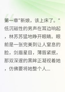 锦字流年的小说新婚重生夜，霸道总裁疯狂追妻全文阅读