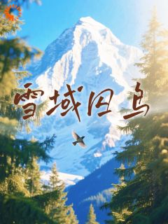 她去支教，却撞上霸总硬核求爱(叶心心丹增晋美)小说全章节目录阅读