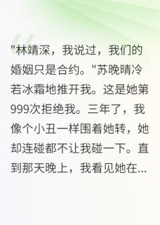 妻子拒绝我999次后在别人身求饶苏晚晴林靖深大结局小说全章节阅读-二筒文学网