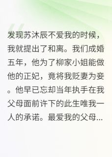 发现他不爱我的时候在哪免费看，小雅苏沐辰柳湘如小说章节目录阅读-二筒文学网