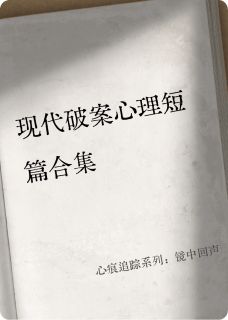 心痕追踪系列：镜中回声林曼张诚陈默大结局小说全章节阅读