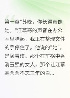 白月光替身？我不做！章节全目录 江慕寒雪琪全文免费阅读