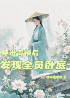 沈学士柳清风全章节阅读-穿进青楼后，发现全员卧底全文分享阅读