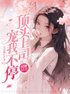 试婚33天，顶头上司宠我不停[抖音]小说-苏洛陆北枭无删减阅读